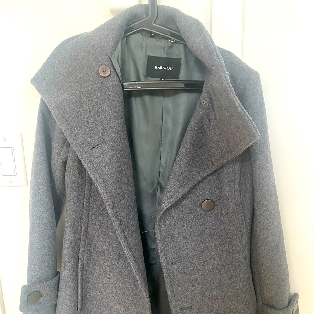 Babaton coat from Aritiza! Worn twice, like new